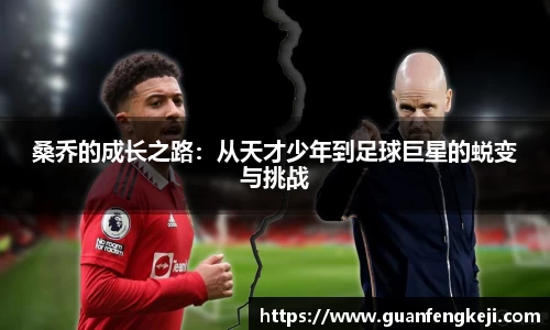 BB贝博